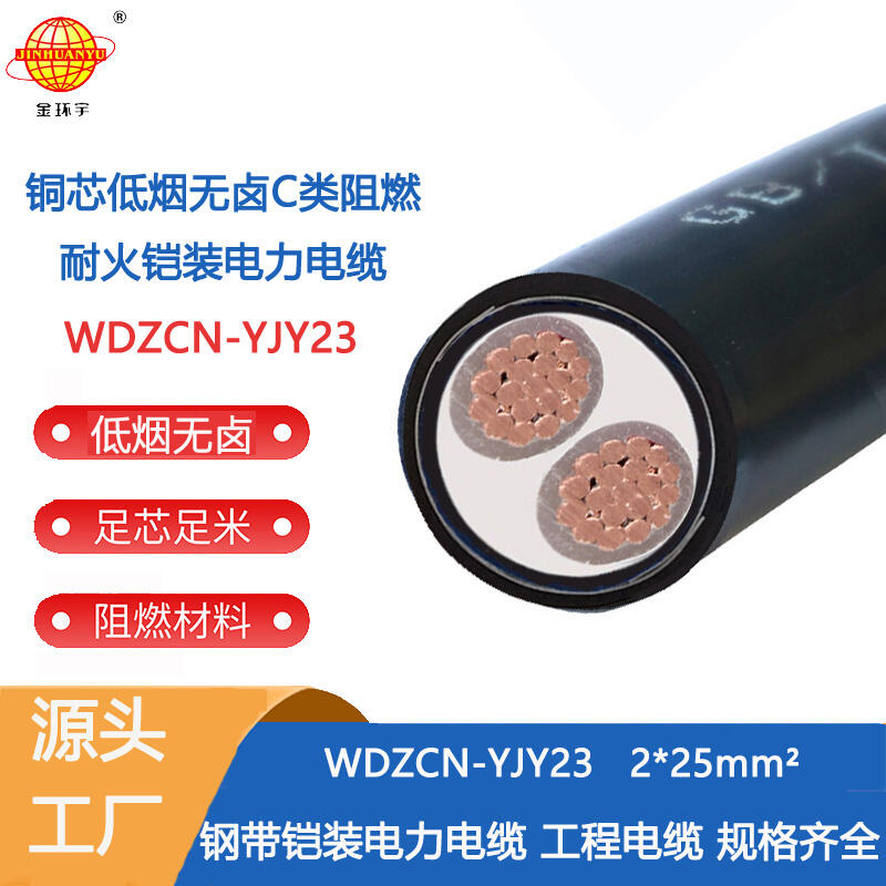 金環(huán)宇電線電纜 c類阻燃鎧裝電纜 無鹵低煙耐火電纜WDZCN-YJY23-2X25平方