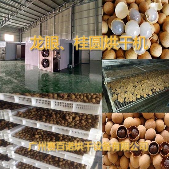 黔南新型龍眼烘廠家