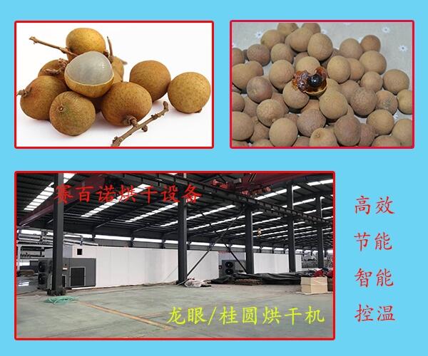 自貢新型龍眼烘生產(chǎn)廠家