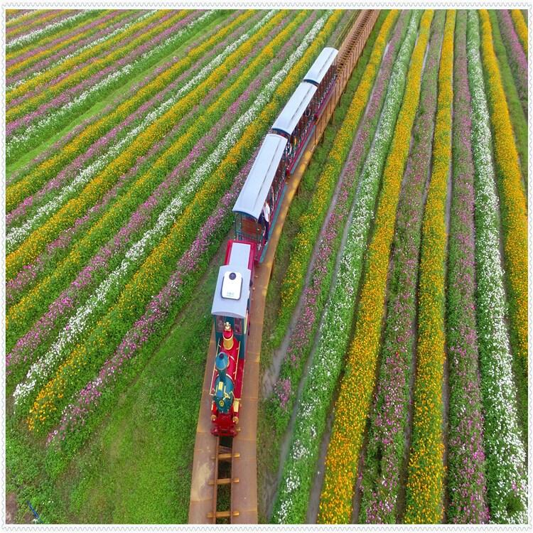 網(wǎng)紅稻田景區(qū)游玩有軌小火車 單軌小火車廠家