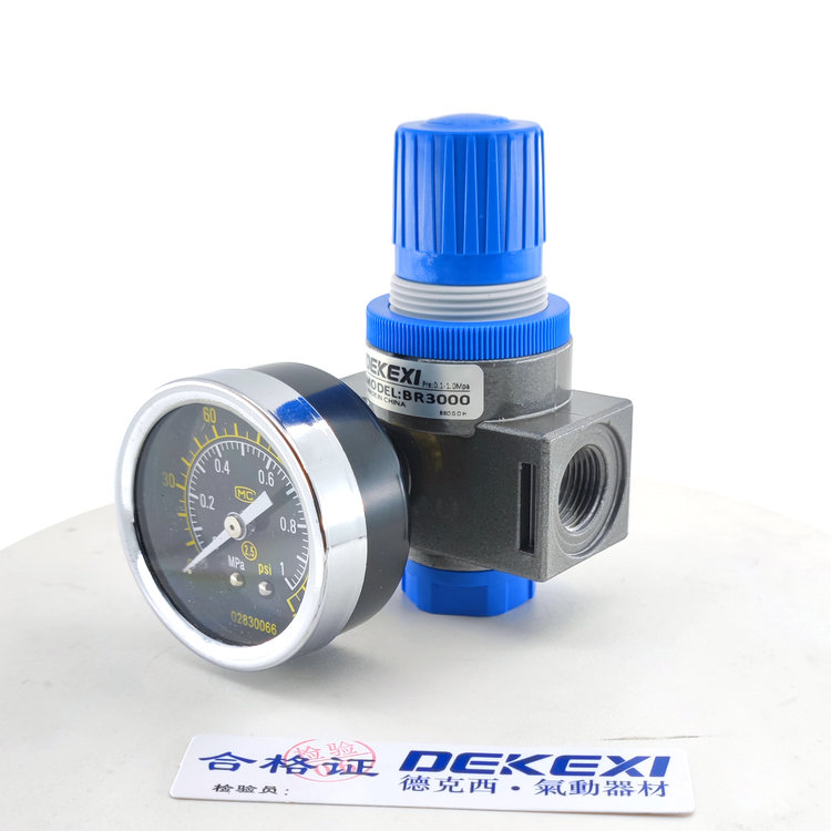 德克西DEKEXI氣缸LBR300減壓器,臺(tái)灣電磁閥,無桿機(jī)械手氣缸,新洋亞德客同款