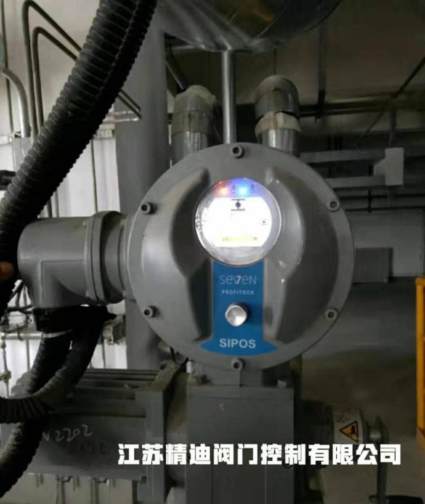 SIPOS電動執(zhí)行器操作面板 西博思SIPOS 2SY5041 電子板室罩子