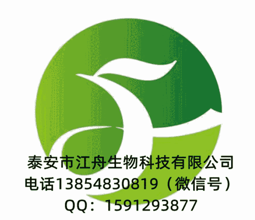  肉桂酸乙酯  CAS： 103-36-6