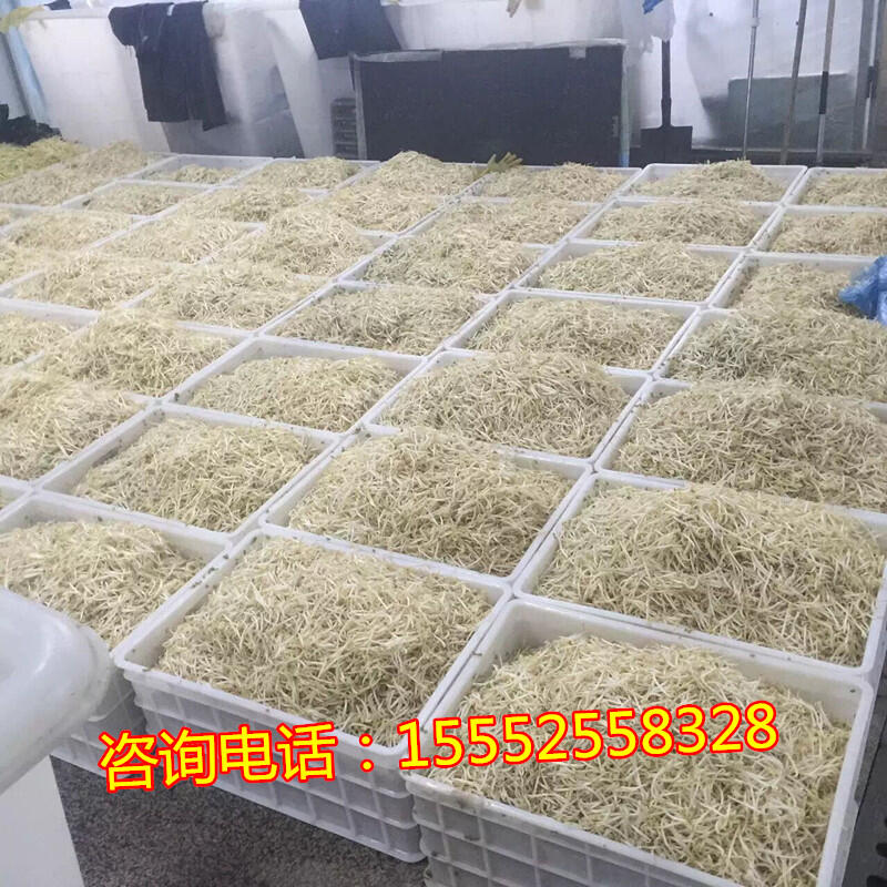 江苏全自动豆芽机 全自动豆芽机哪个牌子好