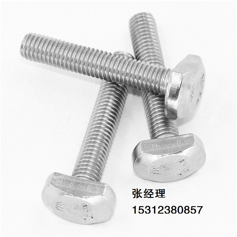 304不锈钢T型螺栓