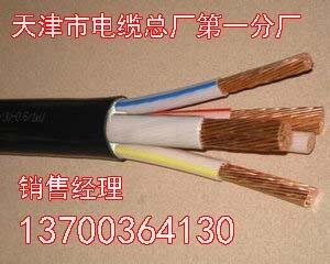 福建ZRBPYJVP變頻電纜生產