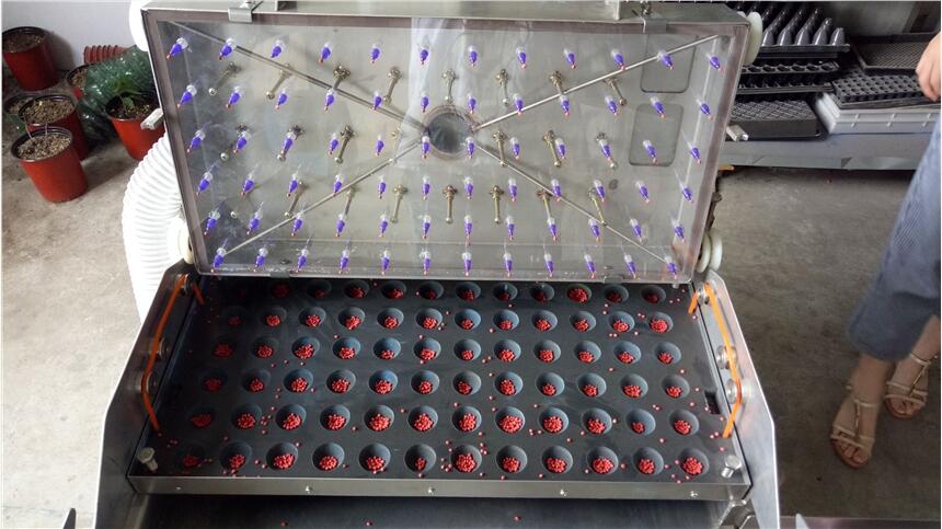 蔬菜穴盘播种机 育苗播种机  雷格农业