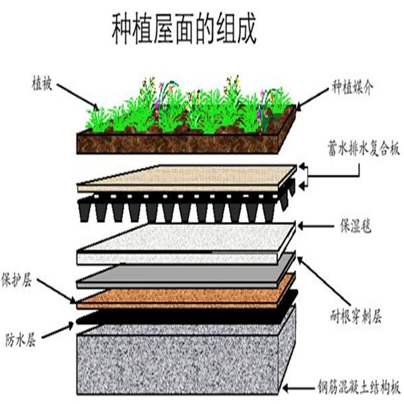 欢迎莅临綦江县20高蓄排水板价格]@（綦江县集团）—欢迎您