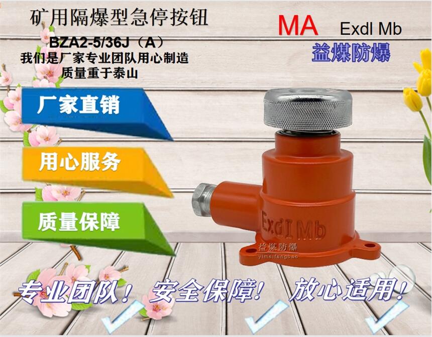 礦用隔爆型急停開關BZA2-5/36J制造廠家質量到位用的放心