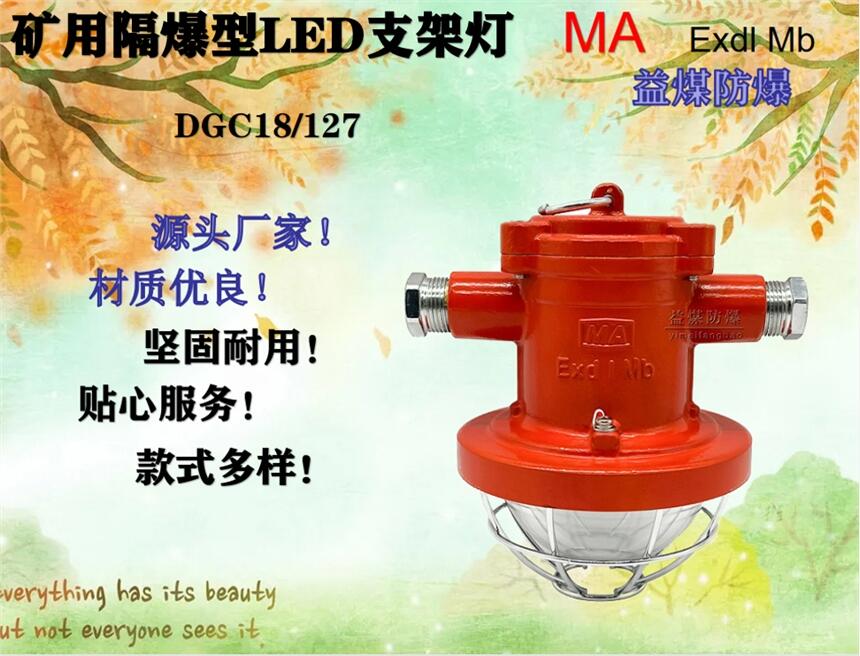 DGC18/127礦用隔爆型LED支架燈制造廠家材料優質放心適用