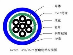 臨沂WDZ-DJKPVP-0.5電纜詳細(xì)介紹