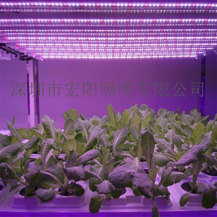 植物灯哪个品牌好？宏阳照明专注1.5米防水植物灯管