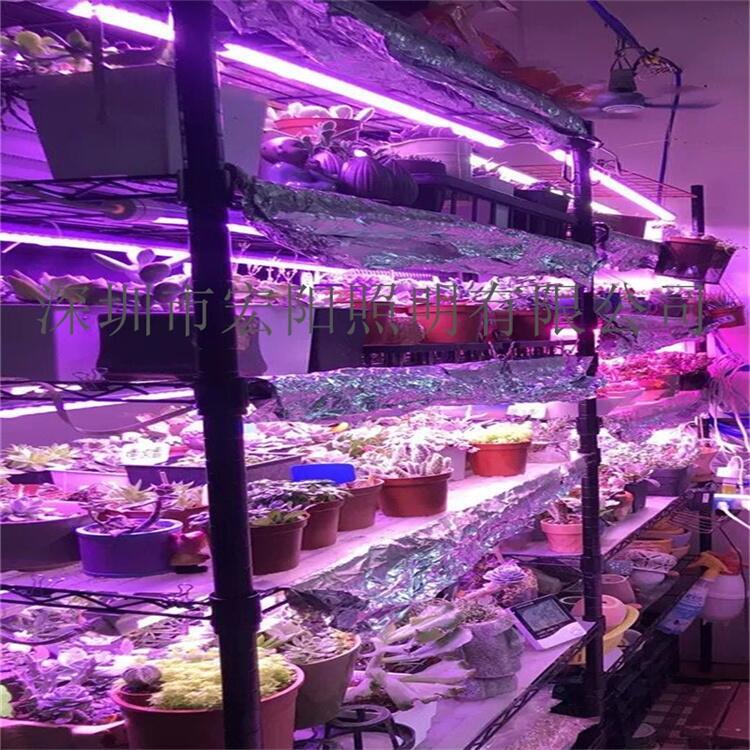 六安植物生長燈管 宿州植物燈管 宣城LED植物燈