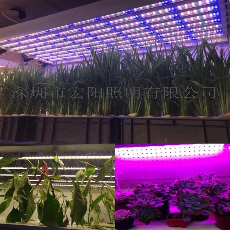 南通植物生長燈管 徐州植物燈管 連云港LED植物燈