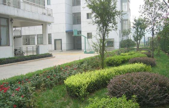 公路绿化常用绿化苗木，公路两侧常用绿篱植物，绿篱色块常用植物基地供应