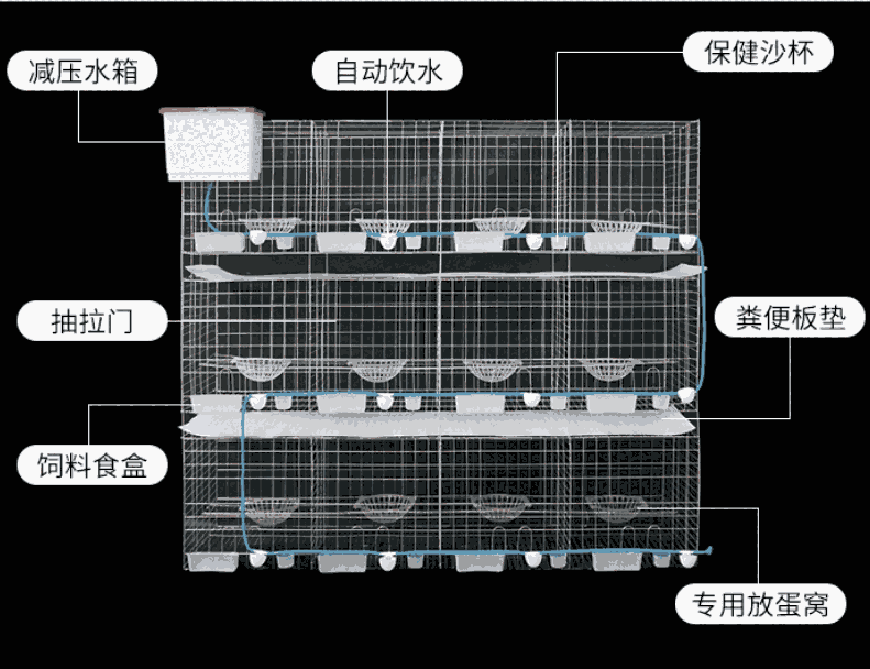 现货三层12位鸽子笼加粗鸽舍鸽棚专用笼具