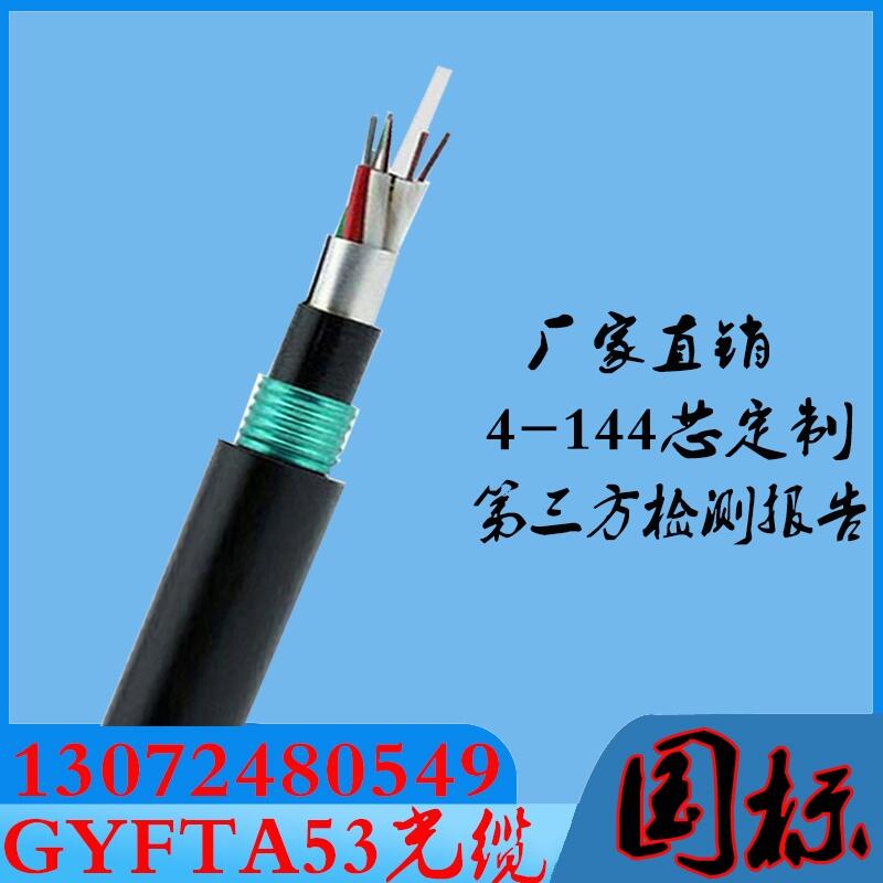 GYFTZA-24b1阻燃光缆 非金属阻燃铠装光缆前10名生产厂家