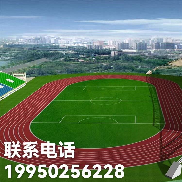 足球场草坪生产厂家全国批发施工 足球场草坪单价