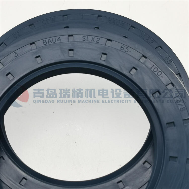 CFW 密封件 BAU4SLX2-65-100-12/8 进口油封 65mm