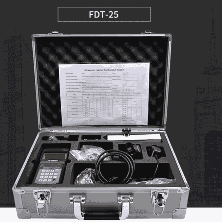 青島路博FDT-25便攜式數(shù)字超聲波流量計(jì)