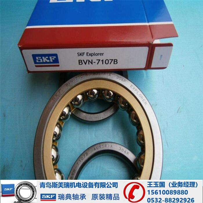 Ƹ-SKF3307A/C3