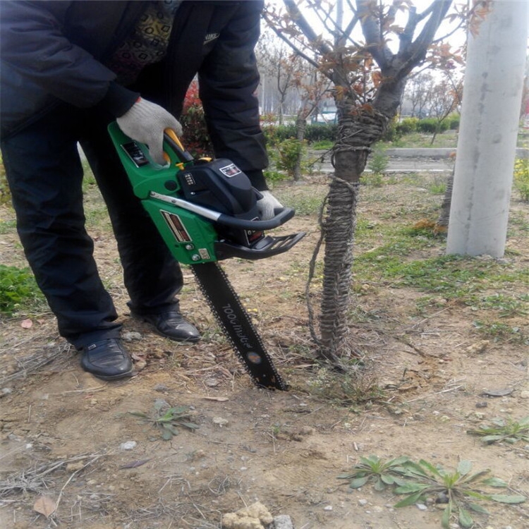 包頭 鋸齒式挖樹機  高效率鏈條起球機