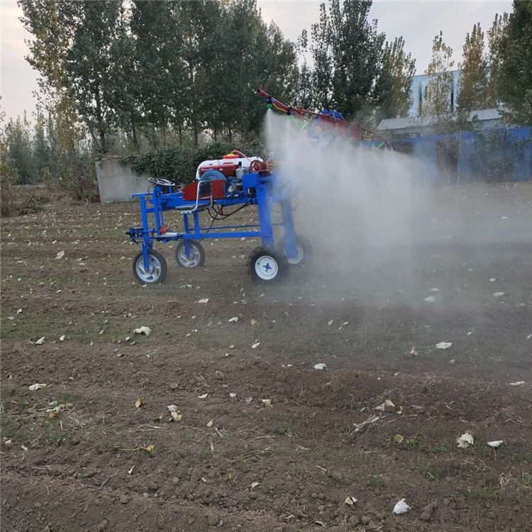 多功能打藥機(jī)膠南氣油噴霧機(jī)