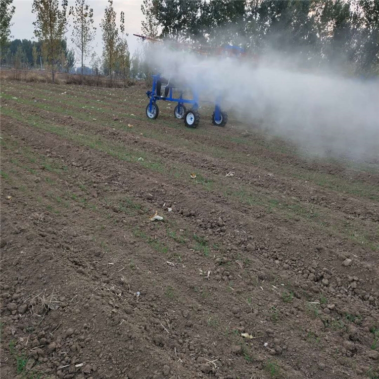 玉米打藥機(jī)安順園林殺蟲噴霧機(jī)