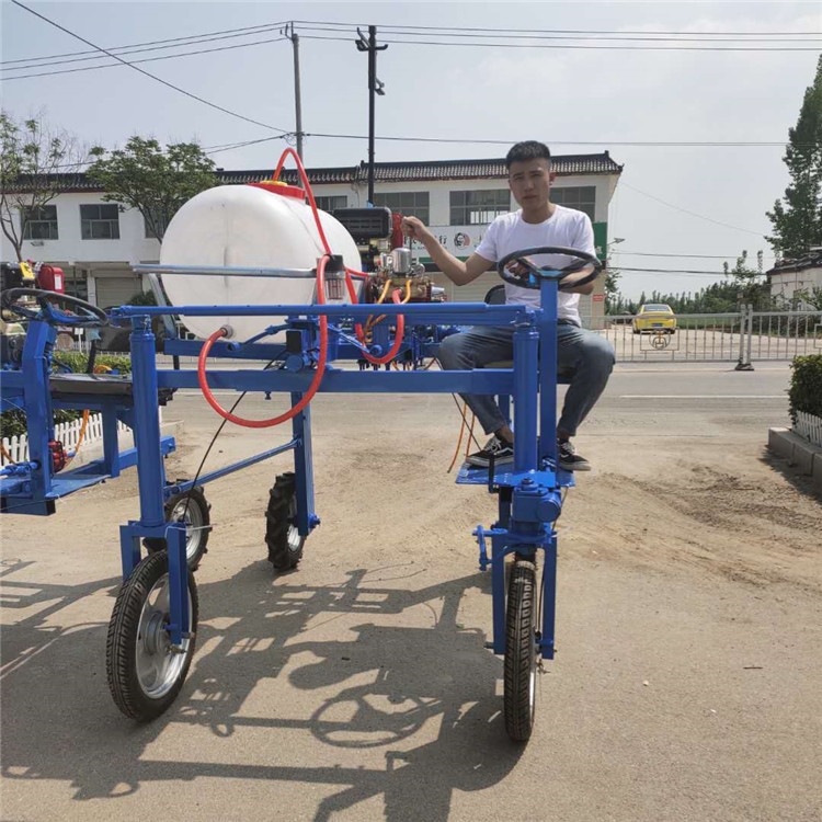 小麥玉米打藥機(jī)安慶推車式噴霧機(jī)