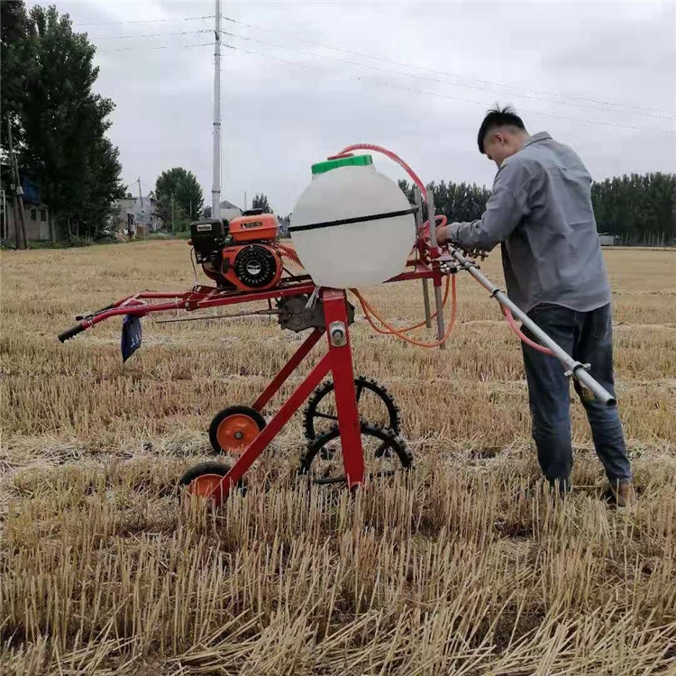 多功能汽油噴霧器溫州汽油噴霧機批發(fā)-