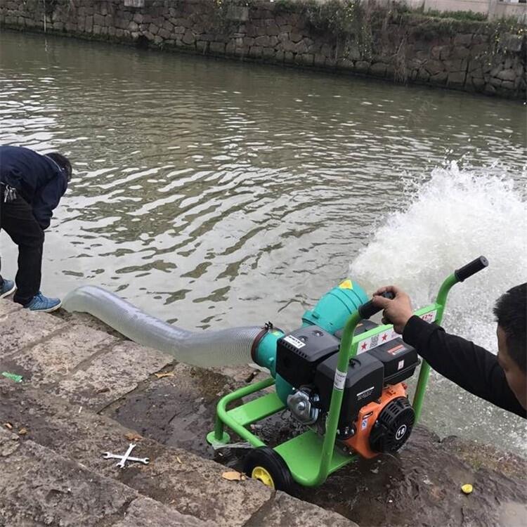 排水防汛牡丹江西安區(qū)微噴灌溉水泵