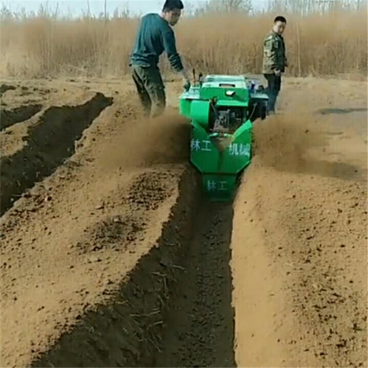 畅销款多功能田园管理机