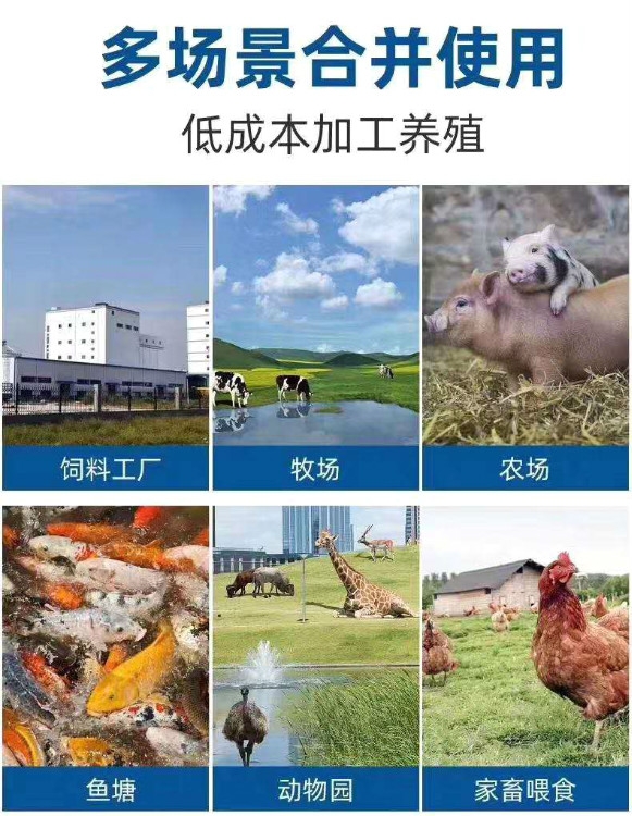 安徽牛羊豬愛(ài)吃飼料顆粒機(jī)廠家直銷(xiāo)   牛羊顆粒機(jī)組   造粒生產(chǎn)線(xiàn)   