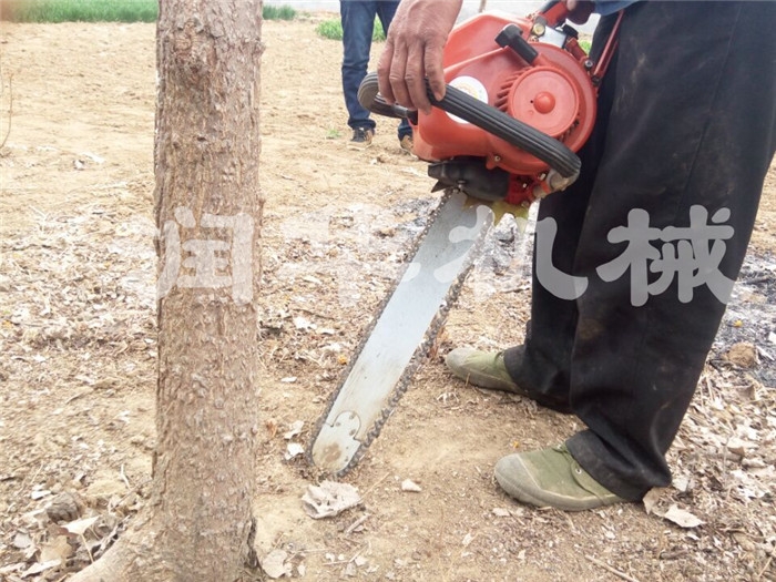 幼树苗移植  铲树球挖树机 大土球挖树机