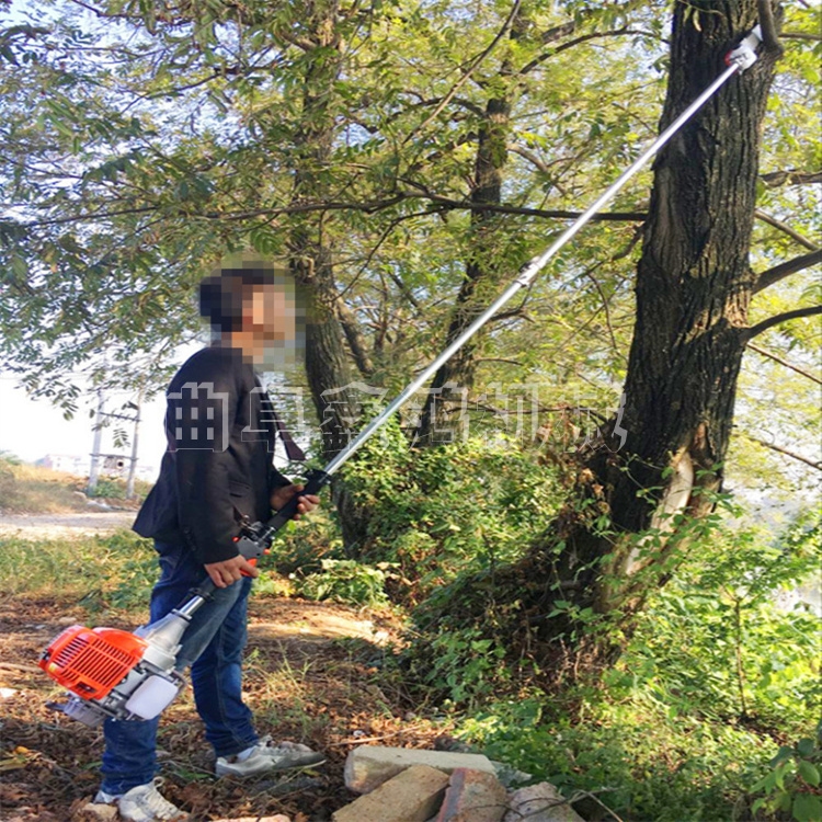 側掛式汽油高空鋸 手持式汽油高枝鋸 果樹園林高枝鋸