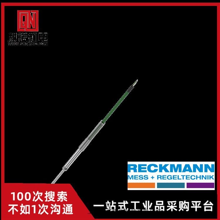 全新原裝德國RECKMANN GMBH熱電偶組件Small TC Form BMK