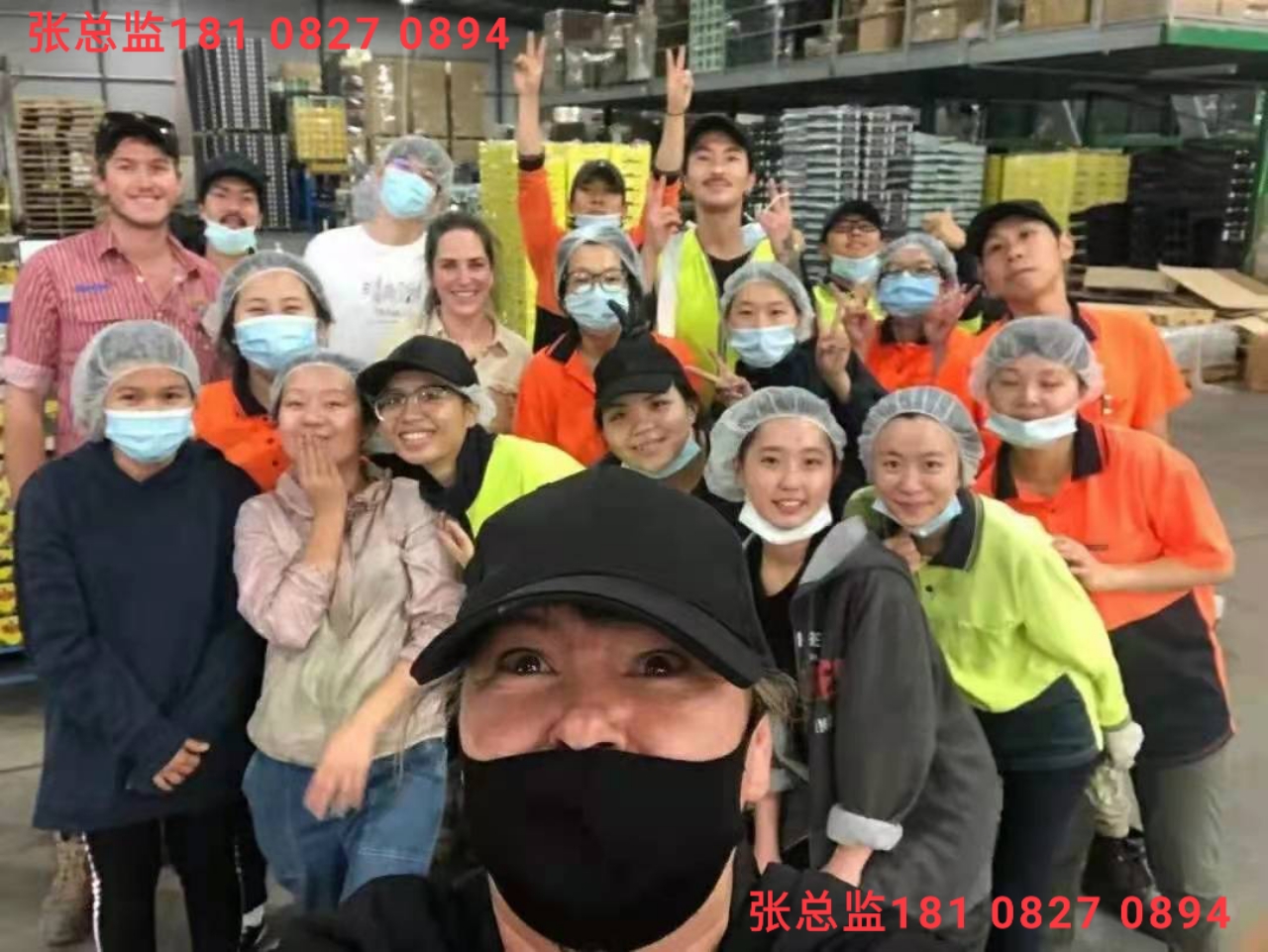 邵陽(yáng)赴新西蘭出國(guó)出國(guó)勞務(wù)開(kāi)放政策