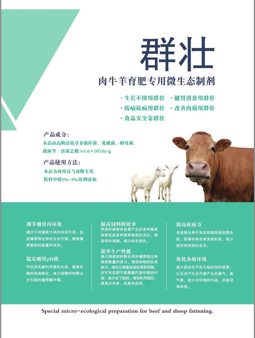 肉牛羊養(yǎng)殖專用益生菌添加劑    群壯