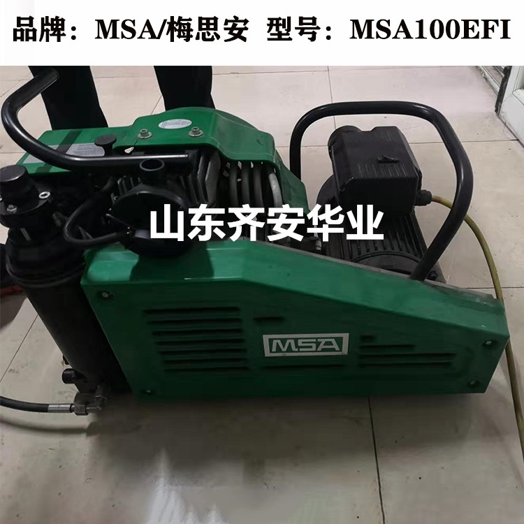 MSA100EFI梅思安消防/潜水呼吸器充气泵9960027保养配件