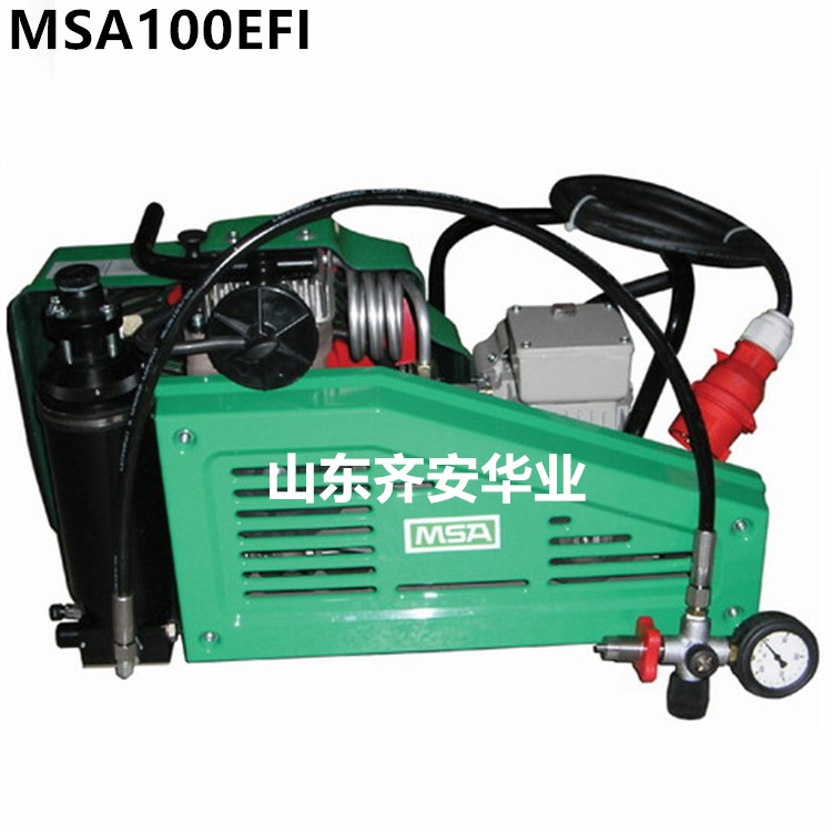 美国梅思安MSA100EFI（9960027）进口空气压缩机滤芯 机油