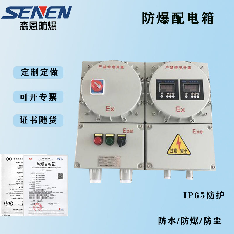 森恩防爆 防爆接线箱BT4防爆控制箱非标304材质防爆箱CT4