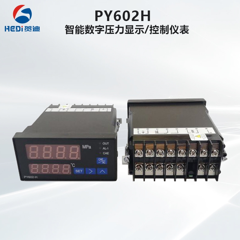 PY602H智能数字温度压力表挤出机 欢迎咨询