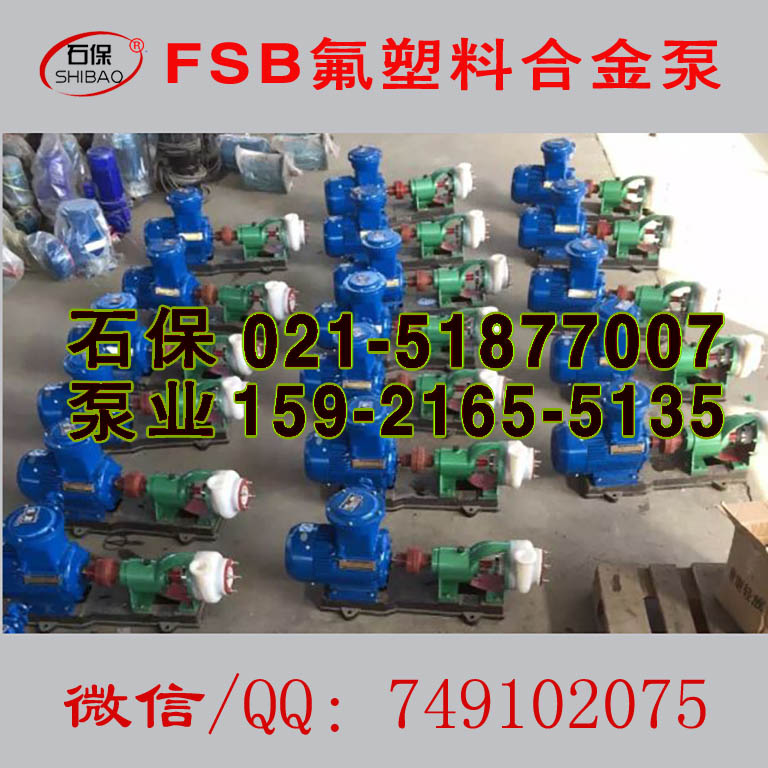 100FSB-20L氟塑料泵_氟塑料耐腐蝕泵 