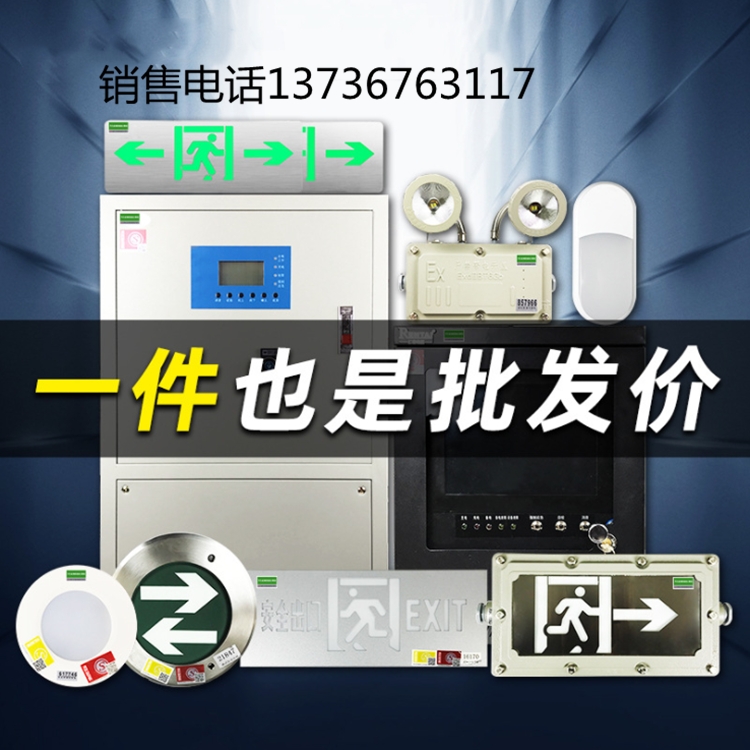 工厂定制 eps消防应急电源EPS-37KW三相集中照明疏散 EPS应急电源