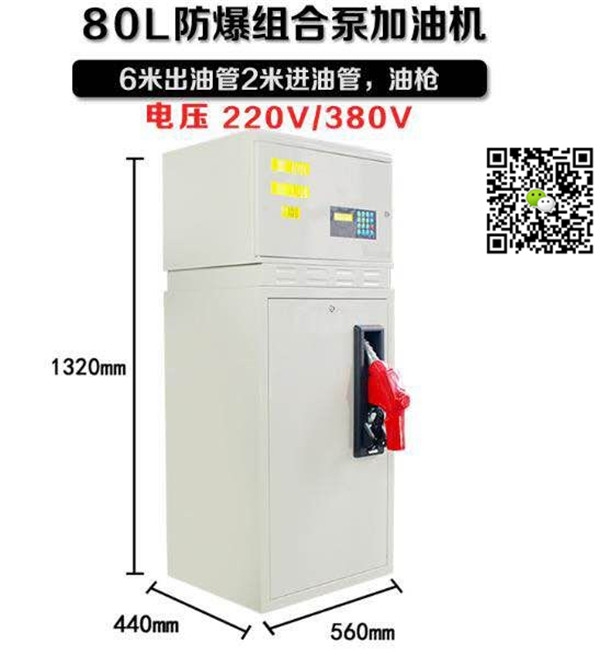 甘南柴油汽油加油机12V24V多少钱