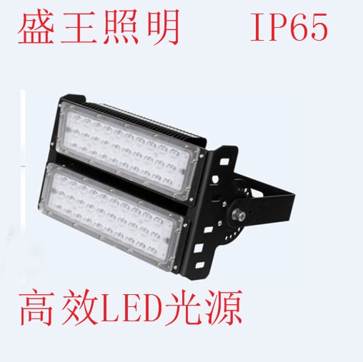 LED防震投光灯PT8762-L100W/200W