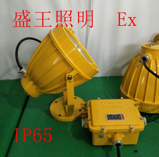 PD-GB6001A PD-GB6001A金鹵防爆燈