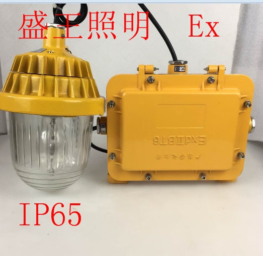 防爆節(jié)能平臺燈SW8300-J150W