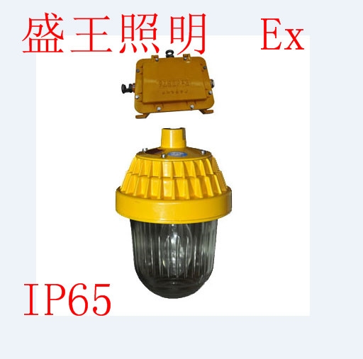 防爆工廠燈NFE160 NFE160