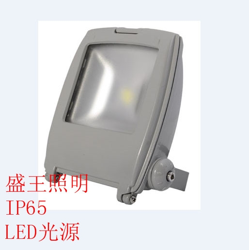 LED泛光燈LHF2178B-L50W\100W